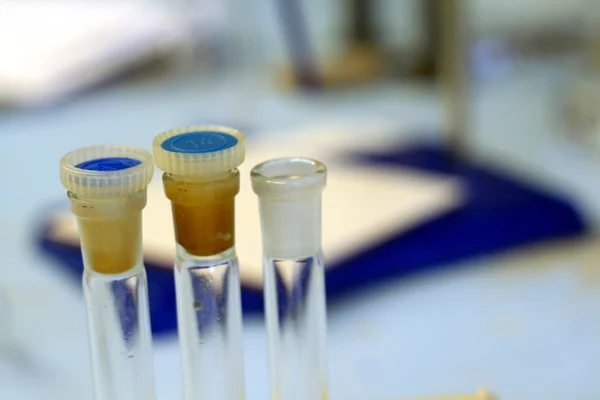 stock image Three tubes in the study of chemistry