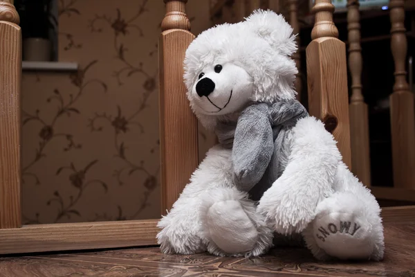 Lonely Teddy Bear — Stock Photo, Image
