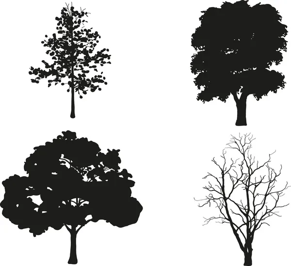 Empat pohon dari berbagai jenis pada latar belakang putih - Stok Vektor