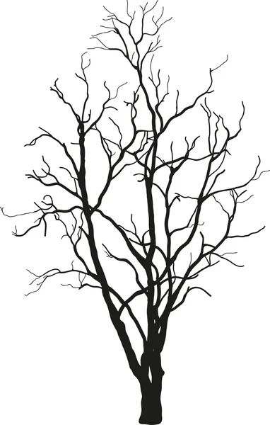 Schwarzer Baum — Stockvektor