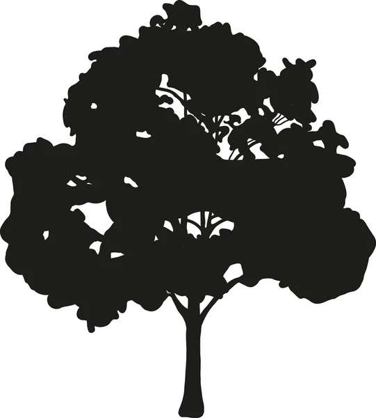 Pohon hitam - Stok Vektor