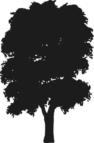 Fekete fa — Stock Vector