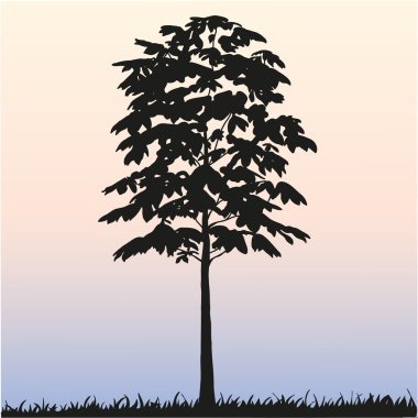 High detailed silhouette of a tree clipart