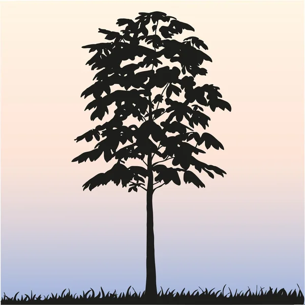 Υψηλής λεπτομερείς σιλουέτα ενός δέντρου — Διανυσματικό Αρχείο