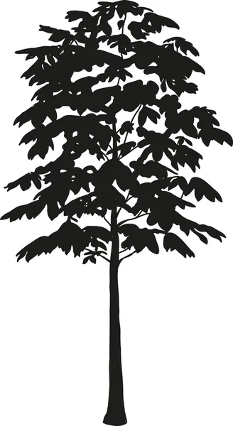 Silhueta detalhada alta de uma árvore — Vetor de Stock