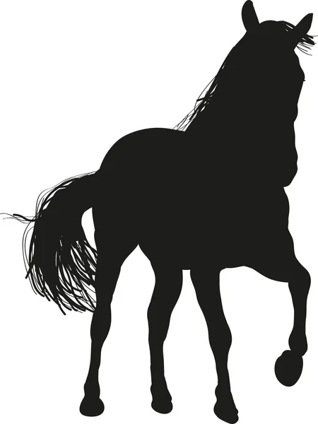 Cavalo Negro — Vetor de Stock