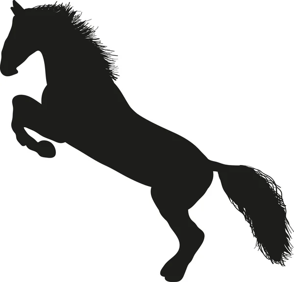 Svart häst — Stock vektor