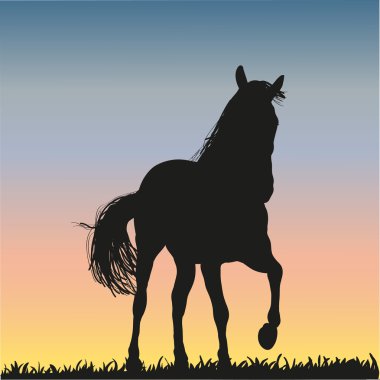 Horse silhouette clipart