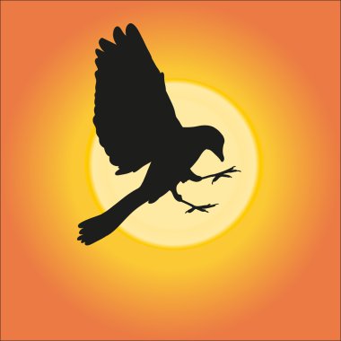 Bird silhouette clipart