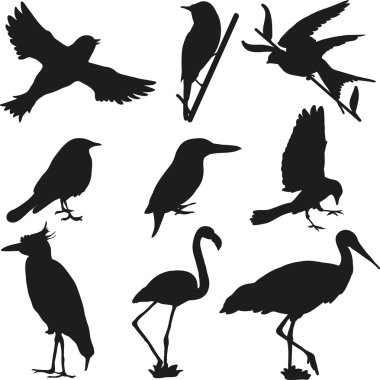 Birds silhouettes clipart