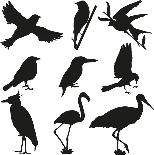 Птахи силуети — стоковий вектор