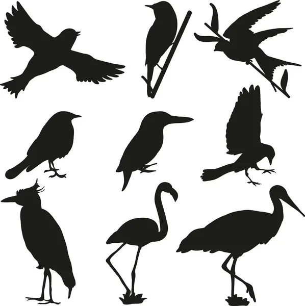 Sílhuetas de aves — Vetor de Stock