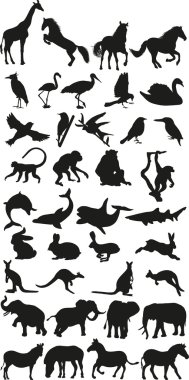 Silhouette collection of wild animals clipart