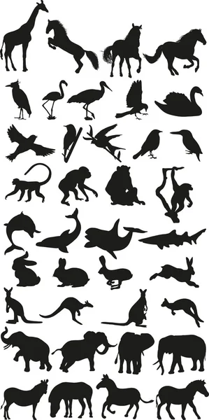 野生动物的剪影集合 — 图库矢量图片