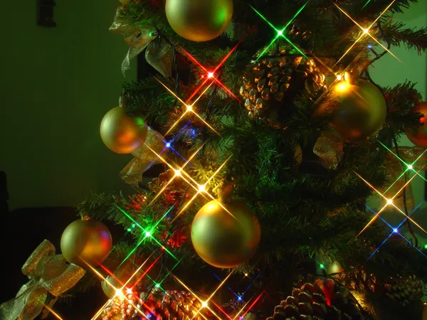 Noel ağacı Stok Fotoğraf