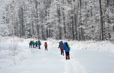 Team of hikers in winter mountains clipart