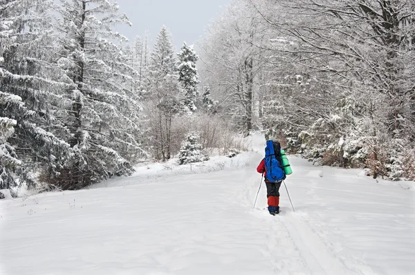Einsamer Wanderer im Winterberg — Stockfoto