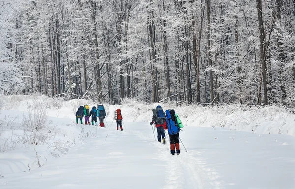 在冬天山远足的团队 — 图库照片