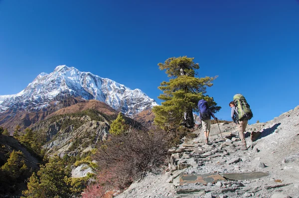 Two trekkers running on the road against Annapurna — Stock Photo, Image