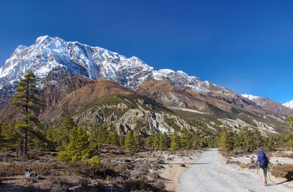 Futás az úton elleni Annapurna Trekker — Stock Fotó