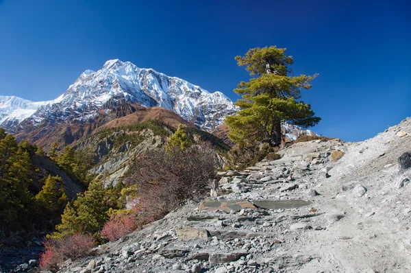 Prohlédni na annapurna hory Nepál — Stock fotografie