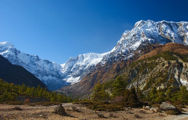 Prohlédni na annapurna hory Nepálu — Stock fotografie