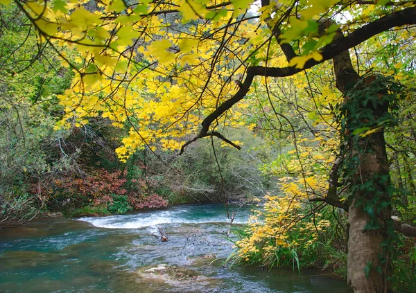 Dojrzały jesień na brzegu rzeki — Zdjęcie stockowe
