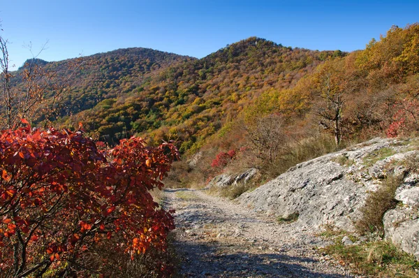 stock image The trail in a beautiful autumn mountains