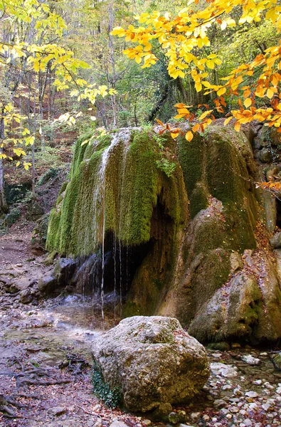 Piękny wodospad w lesie, jesień krajobraz — Zdjęcie stockowe
