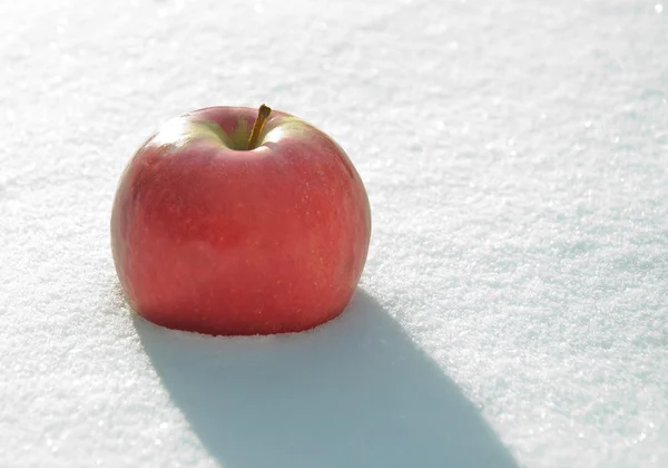 Apple in to snow — Stock Photo, Image