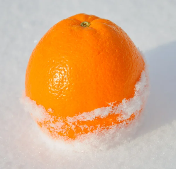Citrus orange in white snow and with sun light — Stock Photo, Image