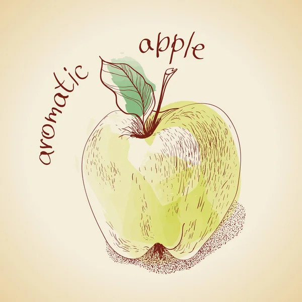 Ilustración vectorial de manzana vintage Gráficos Vectoriales