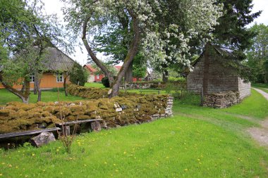 Old, famous farmhouse behind stone wall clipart