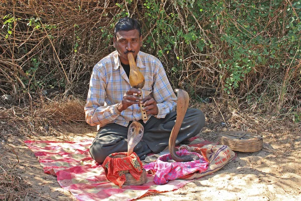 Snake Charmer, Goa, India — Stock Photo, Image
