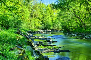 River in spring clipart