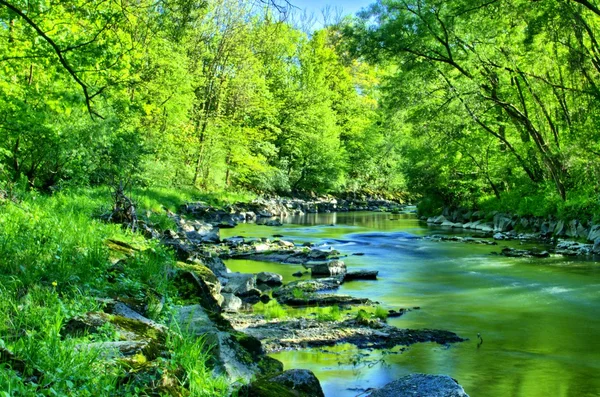 Stock image River in spring