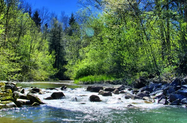 stock image River in spring