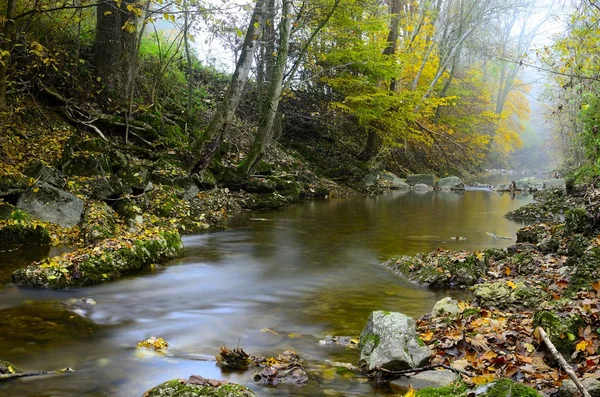 River in automn — Stock Photo, Image