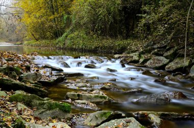 automn Nehri