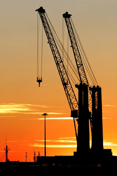 stock image Pair of crane at sunset