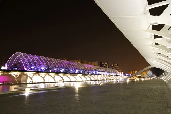 stock image The Umbracle in Valencia.