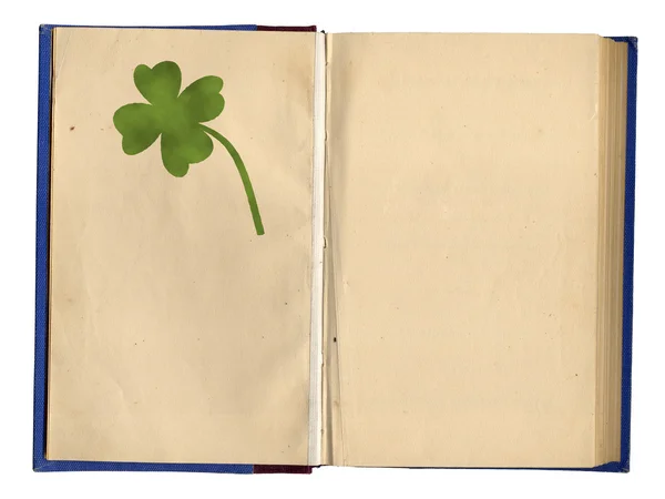 Открытая пустая книга с четырехлистным клевером — стоковое фото