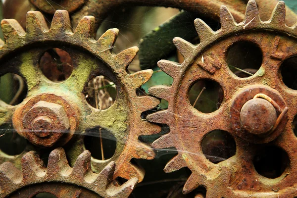 stock image Gears from old mechanism