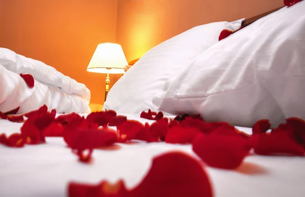 stock image Petals of rose in bedroom