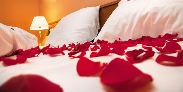 stock image Petals of rose in bedroom