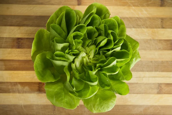 EDZR - Fresh Lettuce on a wood table — Stock Photo, Image