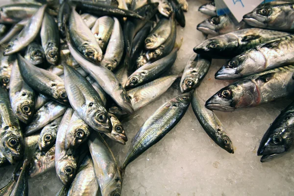 stock image Fish shop in Barcelona, Spain