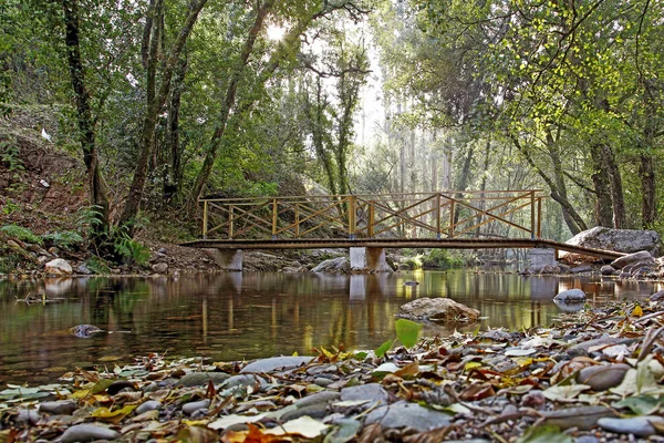 stock image Wooden bridge during sunny morning in the Vintgar gorge, Portuga