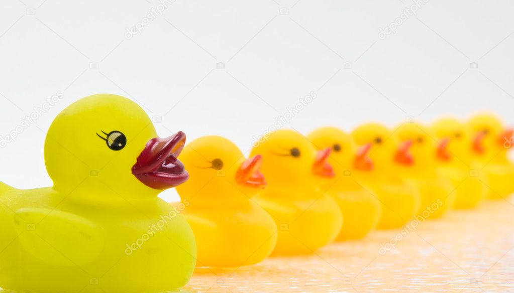 Rubber ducks in a row  stock photo  wpd911 10046393