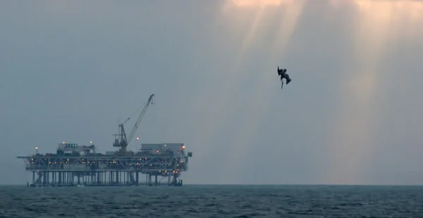 Off Shore Oil Platform with Pelican Diving in Ocean — Stock Photo, Image